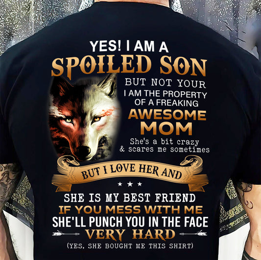 Lucky Son of Awesome Mom - Perfect Gift for Son From Mom - XUAN00 (SKU10-128-00)