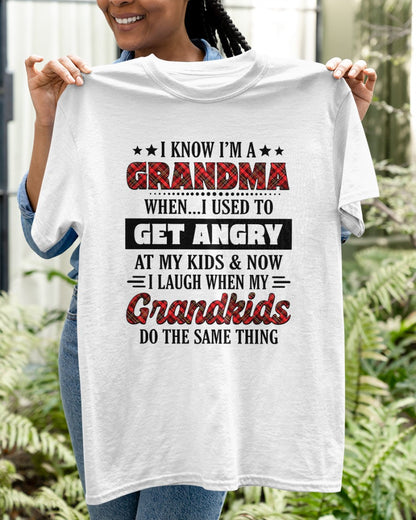 KNOW I'M A GRANDMA WHEN... I USED TO GET ANGRY AT MY KIDS & NOW I LAUGH WHEN MY GRANDKIDS DO THE SAME THING - from grandma tracy00 (SKU07-111)