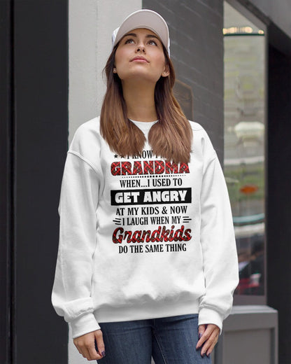 KNOW I'M A GRANDMA WHEN... I USED TO GET ANGRY AT MY KIDS & NOW I LAUGH WHEN MY GRANDKIDS DO THE SAME THING - from grandma tracy00 (SKU07-111)